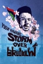 Yusuf Hawkins: Storm Over Brooklyn (2020)