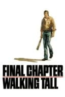 Layarkaca21 LK21 Dunia21 Nonton Film Final Chapter: Walking Tall (1977) Subtitle Indonesia Streaming Movie Download