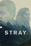 Layarkaca21 LK21 Dunia21 Nonton Film Stray (2018) Subtitle Indonesia Streaming Movie Download