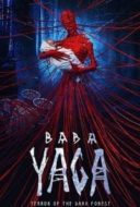 Layarkaca21 LK21 Dunia21 Nonton Film Yaga: Terror of the Dark Forest (2020) Subtitle Indonesia Streaming Movie Download