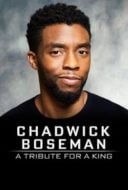 Layarkaca21 LK21 Dunia21 Nonton Film Chadwick Boseman:  A Tribute for a King (2020) Subtitle Indonesia Streaming Movie Download