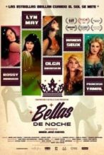 Nonton Film Beauties of the Night (2016) Subtitle Indonesia Streaming Movie Download