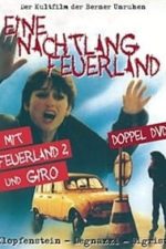 E nachtlang Füürland (1981)