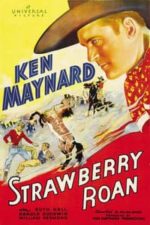 Strawberry Roan (1933)