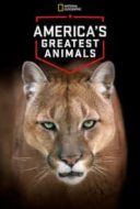 Layarkaca21 LK21 Dunia21 Nonton Film America’s Greatest Animals (2012) Subtitle Indonesia Streaming Movie Download