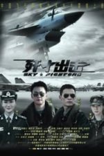 Sky Fighters (2011)