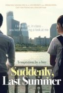 Layarkaca21 LK21 Dunia21 Nonton Film Suddenly Last Summer (2012) Subtitle Indonesia Streaming Movie Download