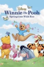 Winnie the Pooh: Springtime with Roo (2004)