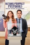 Layarkaca21 LK21 Dunia21 Nonton Film Dead Over Diamonds: Picture Perfect Mysteries (2020) Subtitle Indonesia Streaming Movie Download