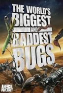 Layarkaca21 LK21 Dunia21 Nonton Film World’s Biggest and Baddest Bugs (2009) Subtitle Indonesia Streaming Movie Download