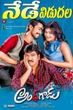 Andhhagadu (2017)