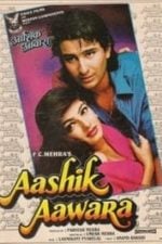 Aashik Aawara (1993)