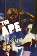 Layarkaca21 LK21 Dunia21 Nonton Film The Ape (1940) Subtitle Indonesia Streaming Movie Download