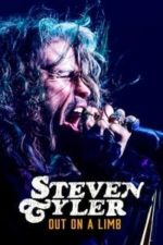 Steven Tyler: Out on a Limb (2018)