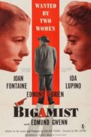 Layarkaca21 LK21 Dunia21 Nonton Film The Bigamist (1953) Subtitle Indonesia Streaming Movie Download