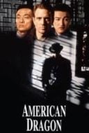 Layarkaca21 LK21 Dunia21 Nonton Film American Dragons (1998) Subtitle Indonesia Streaming Movie Download