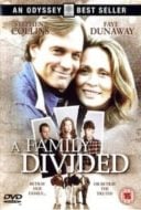 Layarkaca21 LK21 Dunia21 Nonton Film A Family Divided (1995) Subtitle Indonesia Streaming Movie Download