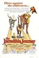 Layarkaca21 LK21 Dunia21 Nonton Film The Incredible Journey (1963) Subtitle Indonesia Streaming Movie Download