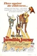 Layarkaca21 LK21 Dunia21 Nonton Film The Incredible Journey (1963) Subtitle Indonesia Streaming Movie Download