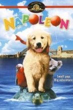 Nonton Film Napoleon (1995) Subtitle Indonesia Streaming Movie Download