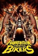 Layarkaca21 LK21 Dunia21 Nonton Film Frankenstein Created Bikers (2016) Subtitle Indonesia Streaming Movie Download