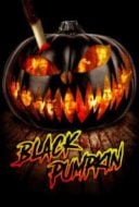 Layarkaca21 LK21 Dunia21 Nonton Film Black Pumpkin (2018) Subtitle Indonesia Streaming Movie Download