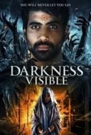 Layarkaca21 LK21 Dunia21 Nonton Film Darkness Visible (2019) Subtitle Indonesia Streaming Movie Download