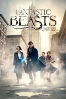 Layarkaca21 LK21 Dunia21 Nonton Film Fantastic Beasts and Where to Find Them (2016) Subtitle Indonesia Streaming Movie Download