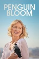 Layarkaca21 LK21 Dunia21 Nonton Film Penguin Bloom (2021) Subtitle Indonesia Streaming Movie Download