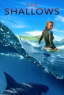 Layarkaca21 LK21 Dunia21 Nonton Film The Shallows (2016) Subtitle Indonesia Streaming Movie Download