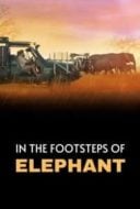 Layarkaca21 LK21 Dunia21 Nonton Film In the Footsteps of Elephant (2020) Subtitle Indonesia Streaming Movie Download