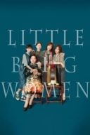 Layarkaca21 LK21 Dunia21 Nonton Film Little Big Women (2020) Subtitle Indonesia Streaming Movie Download