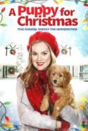 Layarkaca21 LK21 Dunia21 Nonton Film A Puppy for Christmas (2016) Subtitle Indonesia Streaming Movie Download