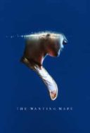 Layarkaca21 LK21 Dunia21 Nonton Film The Wanting Mare (2021) Subtitle Indonesia Streaming Movie Download