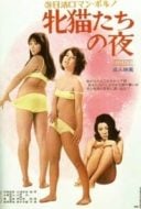 Layarkaca21 LK21 Dunia21 Nonton Film Night of the Felines (1972) Subtitle Indonesia Streaming Movie Download