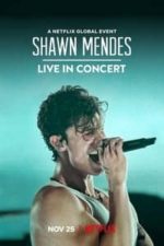 Shawn Mendes: Live in Concert (2020)