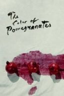 Layarkaca21 LK21 Dunia21 Nonton Film The Color of Pomegranates (1969) Subtitle Indonesia Streaming Movie Download