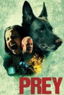 Layarkaca21 LK21 Dunia21 Nonton Film Prey (2020) Subtitle Indonesia Streaming Movie Download