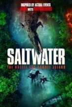 Nonton Film Saltwater: The Battle for Ramree Island (2021) Subtitle Indonesia Streaming Movie Download