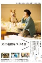 Nonton Film Dogs Without Names (2015) Subtitle Indonesia Streaming Movie Download