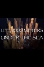 Life 2,000 Meters Under the Sea (2014)