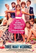 Nonton Film Three Many Weddings (2013) Subtitle Indonesia Streaming Movie Download