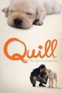 Layarkaca21 LK21 Dunia21 Nonton Film Quill:  The Life of a Guide Dog (2004) Subtitle Indonesia Streaming Movie Download