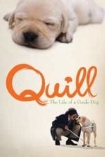 Quill:  The Life of a Guide Dog (2004)