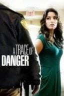 Layarkaca21 LK21 Dunia21 Nonton Film A Trace of Danger (2010) Subtitle Indonesia Streaming Movie Download