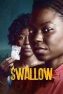 Layarkaca21 LK21 Dunia21 Nonton Film Swallow (2021) Subtitle Indonesia Streaming Movie Download