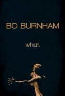 Layarkaca21 LK21 Dunia21 Nonton Film Bo Burnham: What. (2013) Subtitle Indonesia Streaming Movie Download