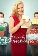 Layarkaca21 LK21 Dunia21 Nonton Film Open by Christmas (2021) Subtitle Indonesia Streaming Movie Download