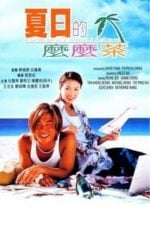 Summer Holiday (2000)