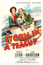 Storm in a Teacup (1937)